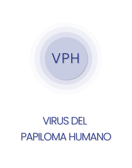 Virus del papiloma humano